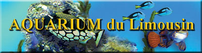Aquarium du Limousin - Limoges